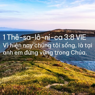 Picture 02 - 1 Thê-sa-lô-ni-ca 3:8 VIE - Vì hiện nay chúng tôi sống, là tại anh - Bible Verse Picture