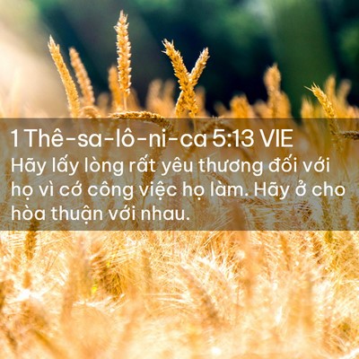 Picture 02 - 1 Thê-sa-lô-ni-ca 5:13 VIE - Hãy lấy lòng rất yêu thương đối với - Bible Verse Picture