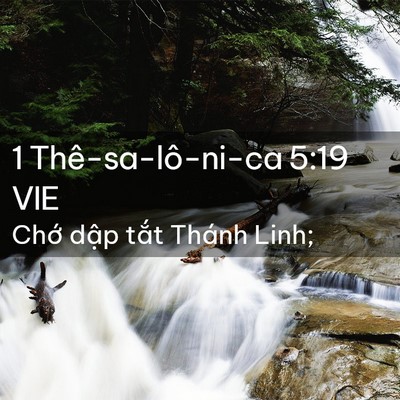 Picture 02 - 1 Thê-sa-lô-ni-ca 5:19 VIE - Chớ dập tắt Thánh - Bible Verse Picture