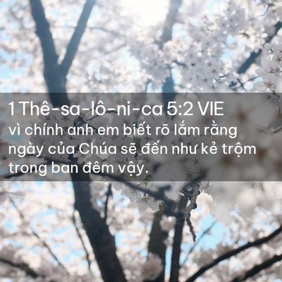 Picture 02 - 1 Thê-sa-lô-ni-ca 5:2 VIE - vì chính anh em biết rõ lắm rằng ngày - Bible Verse Picture
