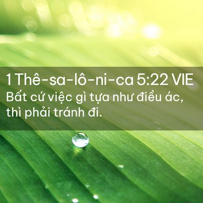 Picture 02 - 1 Thê-sa-lô-ni-ca 5:22 VIE - Bất cứ việc gì tựa như điều ác, - Bible Verse Picture