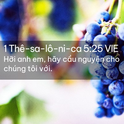 Picture 02 - 1 Thê-sa-lô-ni-ca 5:25 VIE - Hỡi anh em, hãy cầu nguyện cho chúng tôi - Bible Verse Picture