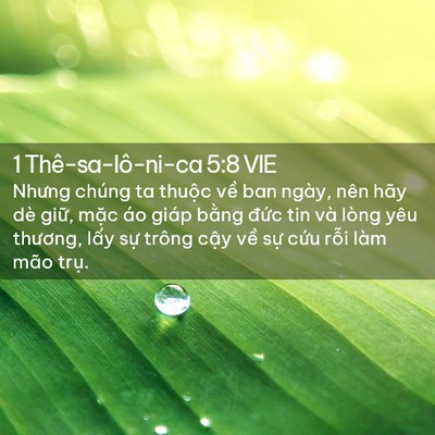 Picture 02 - 1 Thê-sa-lô-ni-ca 5:8 VIE - Nhưng chúng ta thuộc về ban ngày, nên - Bible Verse Picture