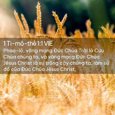 Picture 02 - 1 Ti-mô-thê 1:1 VIE - Phao-lô, vâng mạng Đức Chúa Trời là - Bible Verse Picture