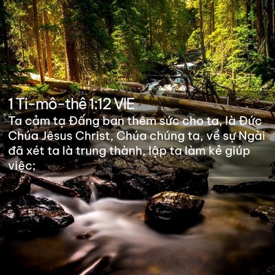Picture 02 - 1 Ti-mô-thê 1:12 VIE - Ta cảm tạ Đấng ban thêm sức cho ta, là - Bible Verse Picture