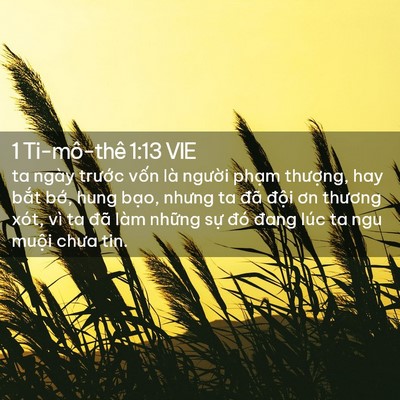 Picture 02 - 1 Ti-mô-thê 1:13 VIE - ta ngày trước vốn là người phạm - Bible Verse Picture