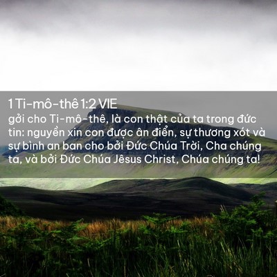Picture 02 - 1 Ti-mô-thê 1:2 VIE - gởi cho Ti-mô-thê, là con thật của ta - Bible Verse Picture