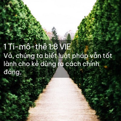 Picture 02 - 1 Ti-mô-thê 1:8 VIE - Vả, chúng ta biết luật pháp vẫn tốt - Bible Verse Picture