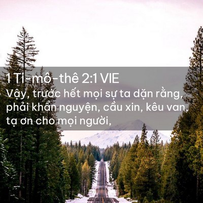 Picture 02 - 1 Ti-mô-thê 2:1 VIE - Vậy, trước hết mọi sự ta dặn rằng, - Bible Verse Picture