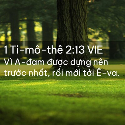 Picture 02 - 1 Ti-mô-thê 2:13 VIE - Vì A-đam được dựng nên trước nhất, - Bible Verse Picture