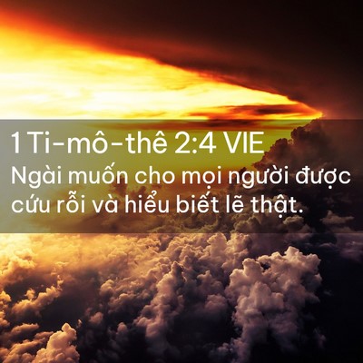Picture 02 - 1 Ti-mô-thê 2:4 VIE - Ngài muốn cho mọi người được cứu - Bible Verse Picture