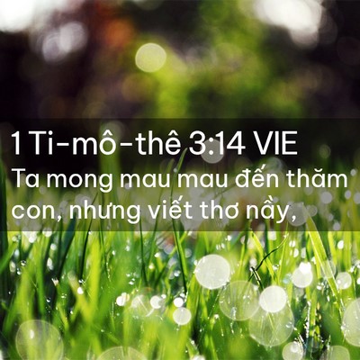 Picture 02 - 1 Ti-mô-thê 3:14 VIE - Ta mong mau mau đến thăm con, nhưng viết - Bible Verse Picture