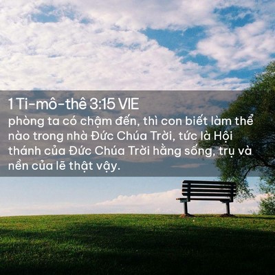 Picture 02 - 1 Ti-mô-thê 3:15 VIE - phòng ta có chậm đến, thì con biết làm - Bible Verse Picture