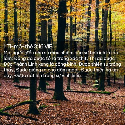Picture 02 - 1 Ti-mô-thê 3:16 VIE - Mọi người đều cho sự mầu nhiệm - Bible Verse Picture