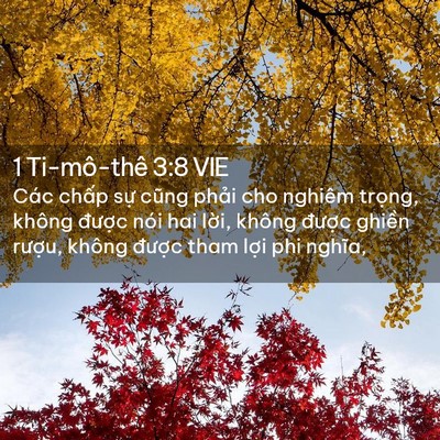 Picture 02 - 1 Ti-mô-thê 3:8 VIE - Các chấp sự cũng phải cho nghiêm - Bible Verse Picture
