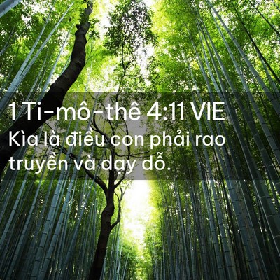 Picture 02 - 1 Ti-mô-thê 4:11 VIE - Kìa là điều con phải rao truyền và - Bible Verse Picture