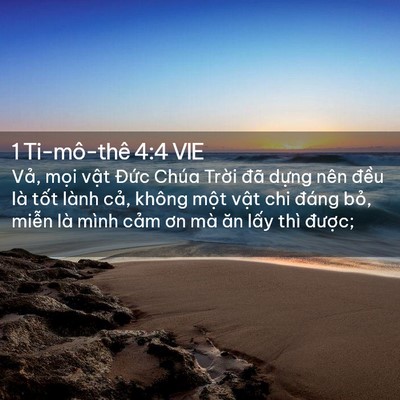 Picture 02 - 1 Ti-mô-thê 4:4 VIE - Vả, mọi vật Đức Chúa Trời đã dựng - Bible Verse Picture
