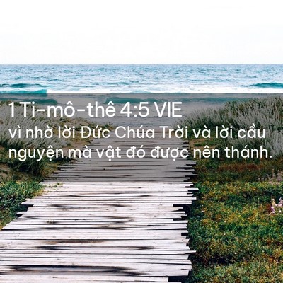 Picture 02 - 1 Ti-mô-thê 4:5 VIE - vì nhờ lời Đức Chúa Trời và lời - Bible Verse Picture