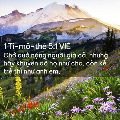 Picture 02 - 1 Ti-mô-thê 5:1 VIE - Chớ quở nặng người già cả, nhưng - Bible Verse Picture