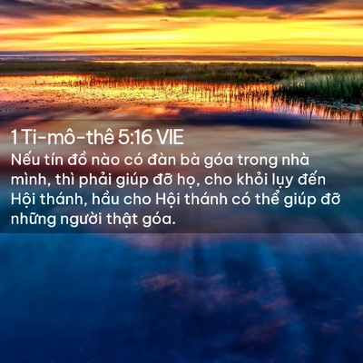 Picture 02 - 1 Ti-mô-thê 5:16 VIE - Nếu tín đồ nào có đàn bà góa trong - Bible Verse Picture