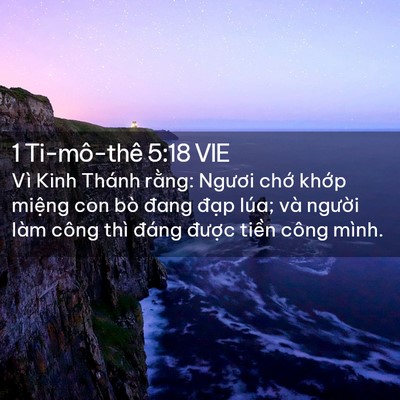 Picture 02 - 1 Ti-mô-thê 5:18 VIE - Vì Kinh Thánh rằng: Ngươi chớ khớp - Bible Verse Picture