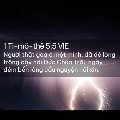 Picture 02 - 1 Ti-mô-thê 5:5 VIE - Người thật góa ở một mình, đã để - Bible Verse Picture