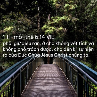 Picture 02 - 1 Ti-mô-thê 6:14 VIE - phải giữ điều răn, ở cho không vết - Bible Verse Picture