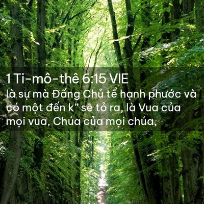 Picture 02 - 1 Ti-mô-thê 6:15 VIE - là sự mà Đấng Chủ tể hạnh phước - Bible Verse Picture