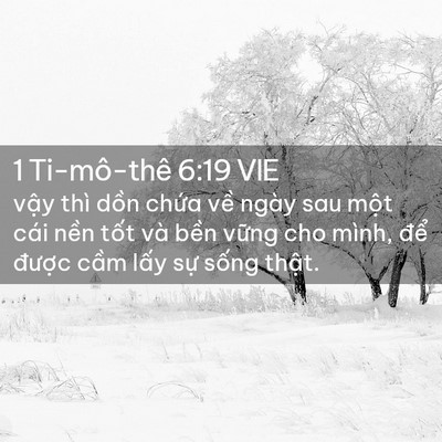 Picture 02 - 1 Ti-mô-thê 6:19 VIE - vậy thì dồn chứa về ngày sau một cái - Bible Verse Picture