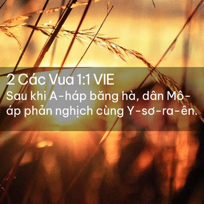 Picture 02 - 2 Các Vua 1:1 VIE - Sau khi A-háp băng hà, dân Mô-áp phản - Bible Verse Picture