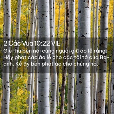 Picture 02 - 2 Các Vua 10:22 VIE - Giê-hu bèn nói cùng người giữ áo lễ - Bible Verse Picture