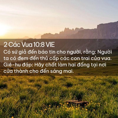 Picture 02 - 2 Các Vua 10:8 VIE - Có sứ giả đến báo tin cho người, - Bible Verse Picture