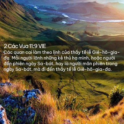 Picture 02 - 2 Các Vua 11:9 VIE - Các quan cai làm theo lịnh của thầy tế - Bible Verse Picture