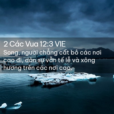 Picture 02 - 2 Các Vua 12:3 VIE - Song, người chẳng cất bỏ các nơi cao - Bible Verse Picture