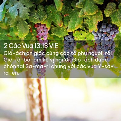 Picture 02 - 2 Các Vua 13:13 VIE - Giô-ách an giấc cùng các tổ phụ - Bible Verse Picture