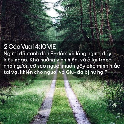 Picture 02 - 2 Các Vua 14:10 VIE - Ngươi đã đánh dân Ê-đôm và lòng - Bible Verse Picture