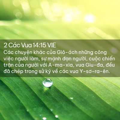 Picture 02 - 2 Các Vua 14:15 VIE - Các chuyện khác của Giô-ách những công - Bible Verse Picture