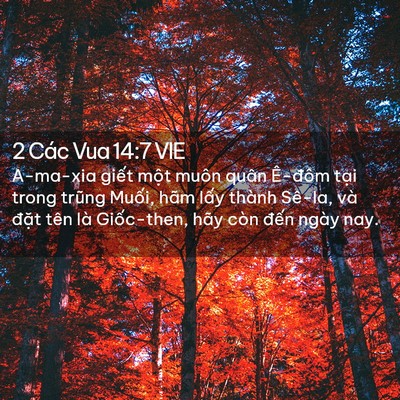 Picture 02 - 2 Các Vua 14:7 VIE - A-ma-xia giết một muôn quân Ê-đôm tại - Bible Verse Picture