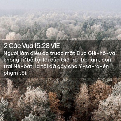 Picture 02 - 2 Các Vua 15:28 VIE - Người làm điều ác trước mặt Đức - Bible Verse Picture