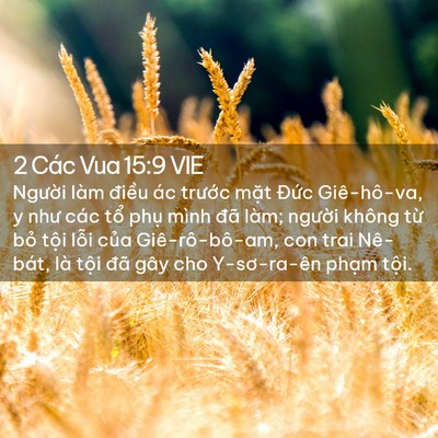 Picture 02 - 2 Các Vua 15:9 VIE - Người làm điều ác trước mặt Đức - Bible Verse Picture