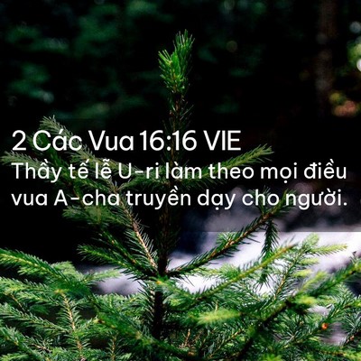 Picture 02 - 2 Các Vua 16:16 VIE - Thầy tế lễ U-ri làm theo mọi điều vua - Bible Verse Picture