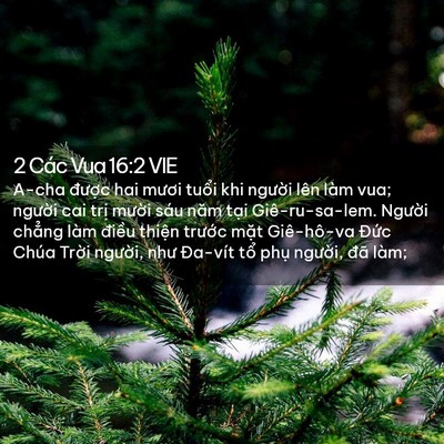 Picture 02 - 2 Các Vua 16:2 VIE - A-cha được hai mươi tuổi khi người - Bible Verse Picture