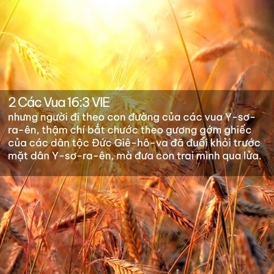 Picture 02 - 2 Các Vua 16:3 VIE - nhưng người đi theo con đường của các - Bible Verse Picture