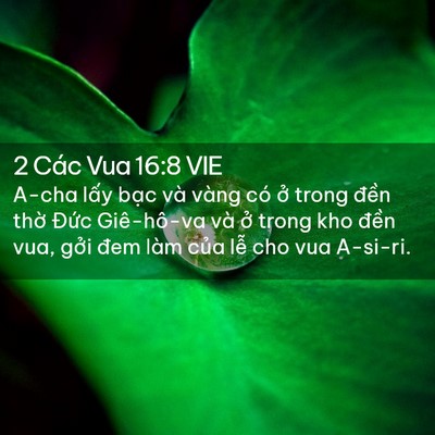 Picture 02 - 2 Các Vua 16:8 VIE - A-cha lấy bạc và vàng có ở trong đền - Bible Verse Picture