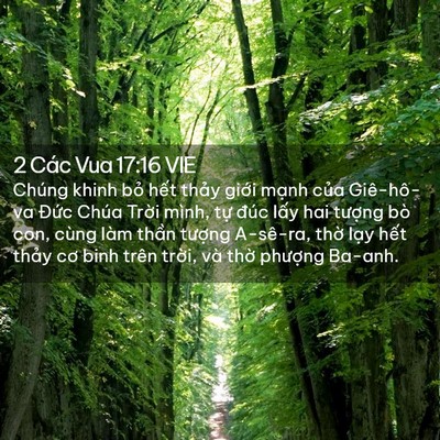 Picture 02 - 2 Các Vua 17:16 VIE - Chúng khinh bỏ hết thảy giới mạnh - Bible Verse Picture