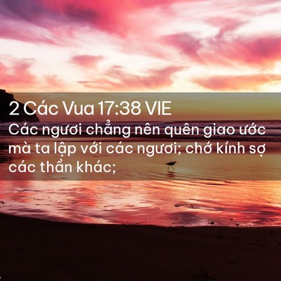 Picture 02 - 2 Các Vua 17:38 VIE - Các ngươi chẳng nên quên giao ước mà - Bible Verse Picture