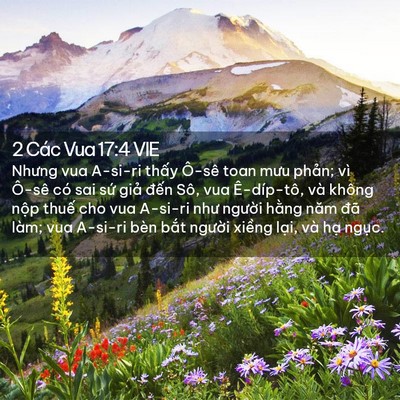 Picture 02 - 2 Các Vua 17:4 VIE - Nhưng vua A-si-ri thấy Ô-sê toan mưu - Bible Verse Picture