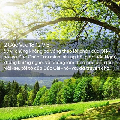 Picture 02 - 2 Các Vua 18:12 VIE - ấy vì chúng không có vâng theo lời phán - Bible Verse Picture