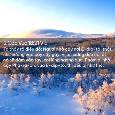 Picture 02 - 2 Các Vua 18:21 VIE - Ta thấy rõ điều đó: Ngươi nhờ cậy - Bible Verse Picture