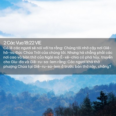 Picture 02 - 2 Các Vua 18:22 VIE - Có lẽ các ngươi sẽ nói với ta rằng: - Bible Verse Picture